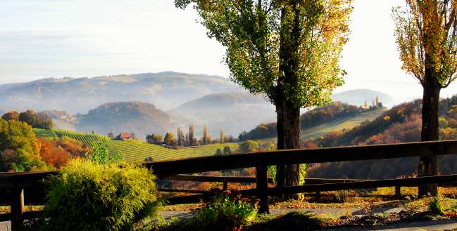 Wanderweg mit Blick über den Weinberg